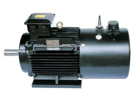 變頻同步電動機