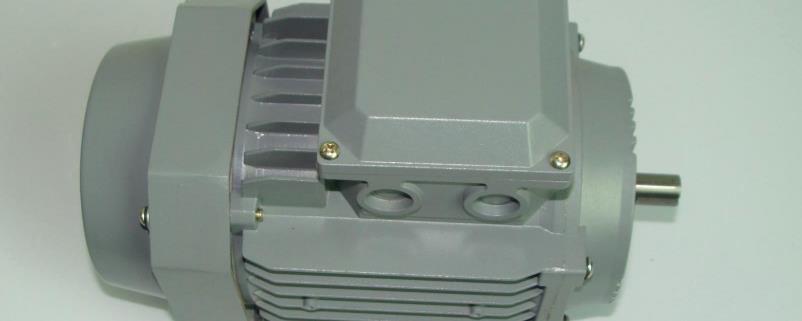 變頻感應(yīng)電機(jī)