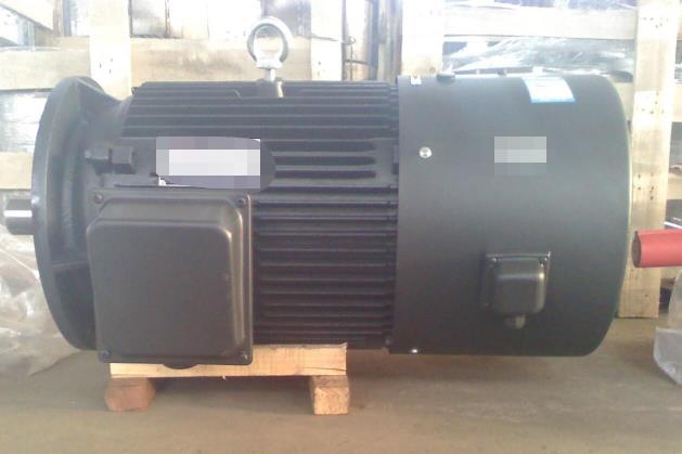 變頻感應(yīng)電機(jī)